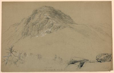 Looking South, Mount Mansfield, Vermont by Daniel Huntington