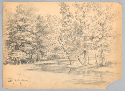 Mill Brook, North Conway, New Hampshire by Daniel Huntington
