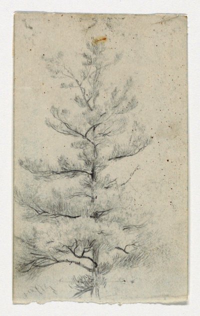Sketch of a Tree by Daniel Huntington
