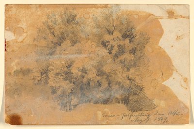 Study of Trees, Geneva by Daniel Huntington
