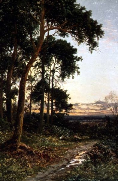 The Woodland Path by Daniel Sherrin