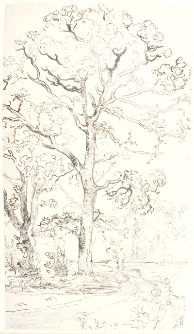 Study of Oak Trees by Dankvart Dreyer