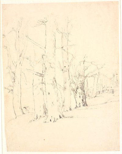 Study of a Row of Heavy Tree Trunks by Dankvart Dreyer