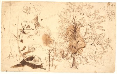 Study with Trees, Plants, and Stumps by Dankvart Dreyer
