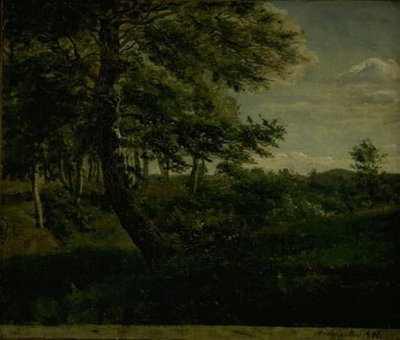 Ørsbjerg Forest at Aarup, Funen by Dankvart Dreyer