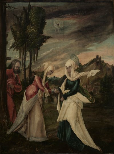The Visitation by Danube School