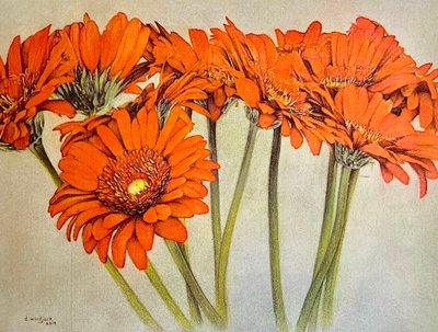 Orange Burst, 2019 by Darrell Windjack