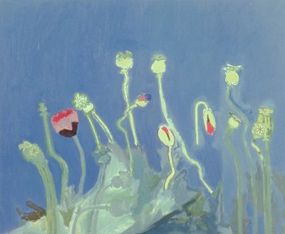 Poppyheads by David Alan Redpath Michie