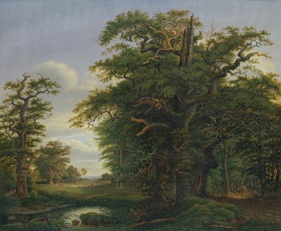 Oak Wood, 1847 by David Christopher Mettlerkamp