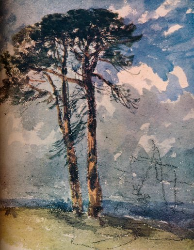 Scotch Firs by David Cox the elder