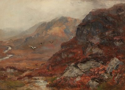 Highland Hills by David Farquharson