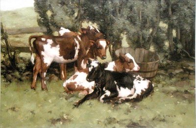 Three Calves by David Gould