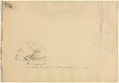 Landscape and Tree Studies (verso) by David Johnson