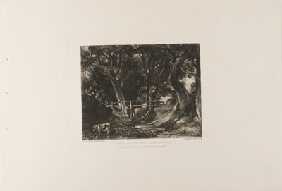 A Dell, Helmingham Park, Suffolk by David Lucas