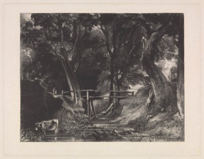 A Dell, Helmingham Park, Suffolk by David Lucas