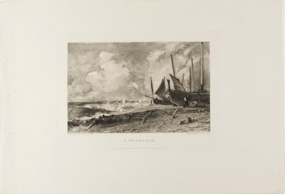 A Seabeach by David Lucas