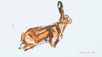 Hare by David Mayer