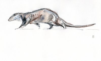 Otter Running, 2022 by David Mayer