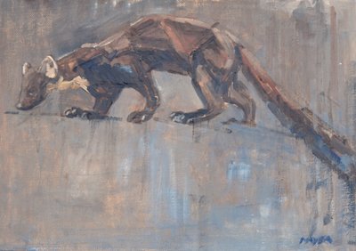 Pine Marten, 2023 by David Mayer