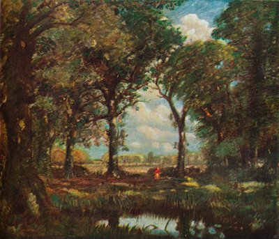 A Woodland Pool, c1905 by David Muirhead
