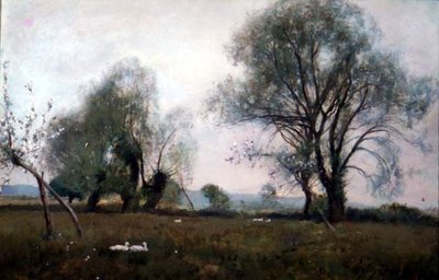 Down in the Watermeadows by David Murray