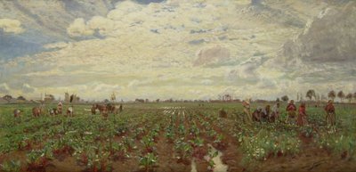 Fieldworkers, Holland by David Murray
