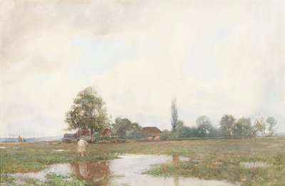 Through the Water Meadow by David Murray