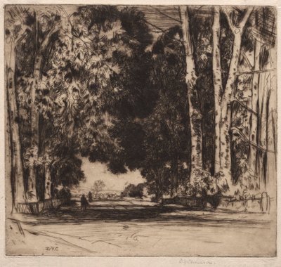 The Avenue by David Young Cameron