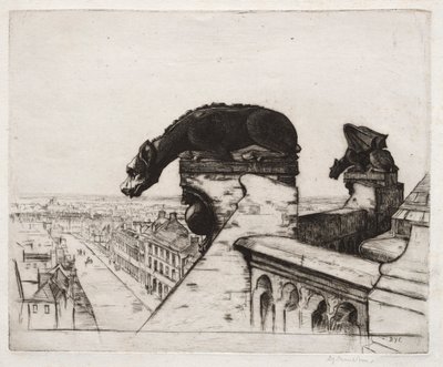 The Wingless Chimera by David Young Cameron