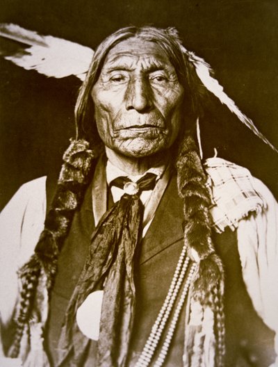Wolf Robe (b.1841) 1909 by DeLancey W. Gill