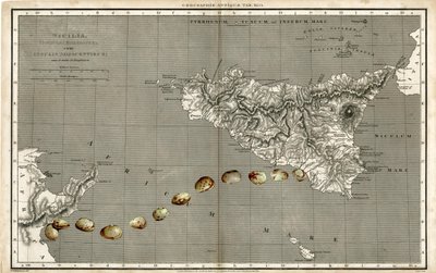 Wonder Atlas - Sicily by Deirdre Kelly