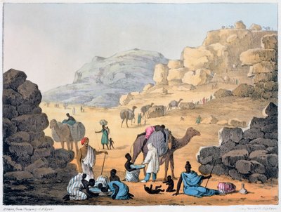 A Slave Kaffle by Denis Dighton