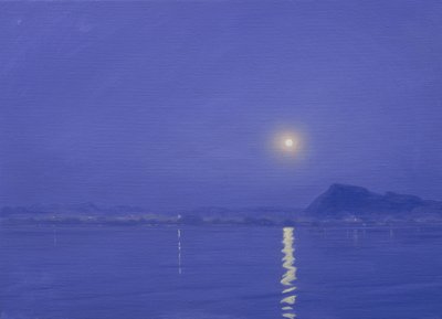 Moonlight over Udaipur by Derek Hare