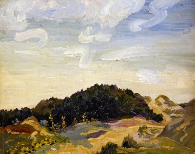 Landscape by Derwent Lees