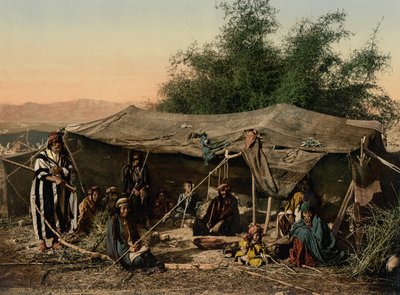 Bedouin Tents and Occupants, Holy Land by Detroit Photographic Co.