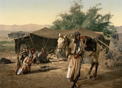 Bedouins and their Tents, Holy Land by Detroit Photographic Co.