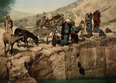Bedouins Drawing Water, Holy Land by Detroit Photographic Co.