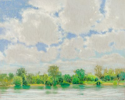 American River View, 2017 by Diana Jahns