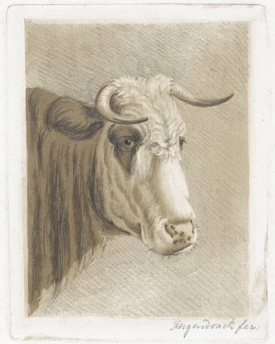 Koekop by Diederik Jan Singendonck (signed by artist)