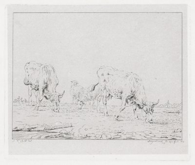 Grazing Cows by Diederik Jan Singendonck