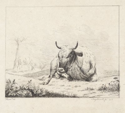 Lying Cow by Diederik Jan Singendonck