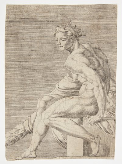 Nude from the Sistine Chapel by Dirck Volckertsz. Coornhert