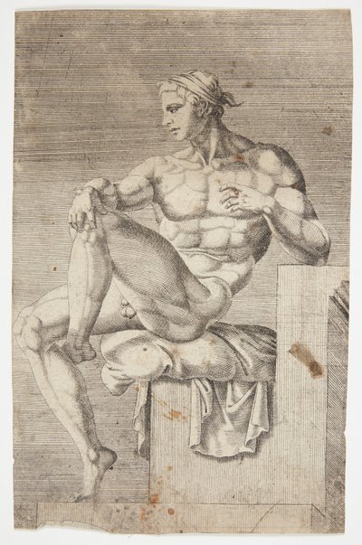Nude from the Sistine Chapel by Dirck Volckertsz. Coornhert