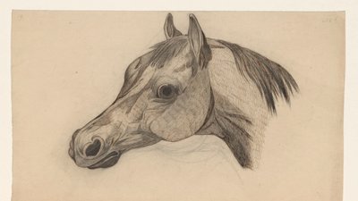 Head of a Horse, Facing Left by Dirk Arnoldus Tavenraat