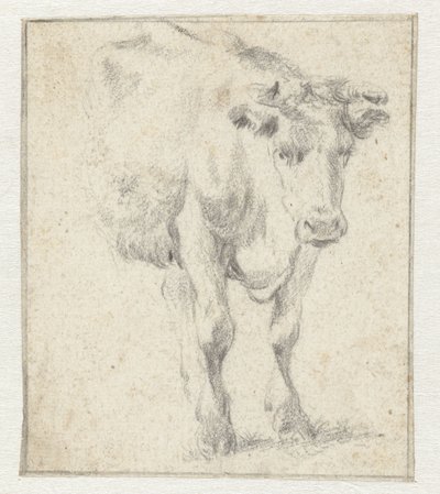Study of a Cow by Dirk Stoop