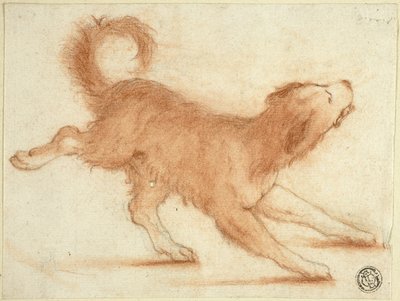 Growling Dog Ready to Pounce by Dirk Valkenburg