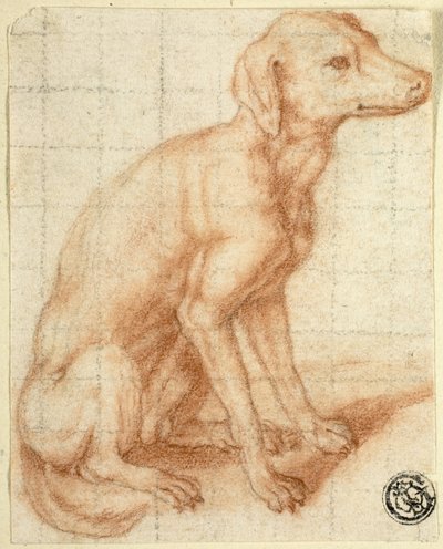 Retriever by Dirk Valkenburg