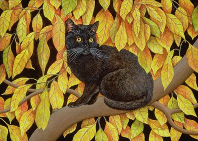 Autumn Leaves by Ditz