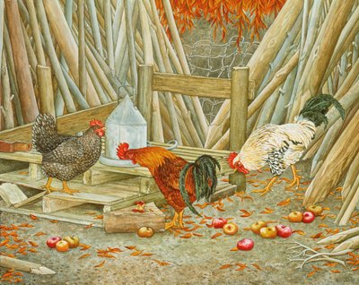 Chicken Feed by Ditz