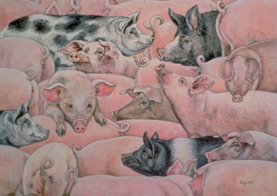 Pig-Spread by Ditz